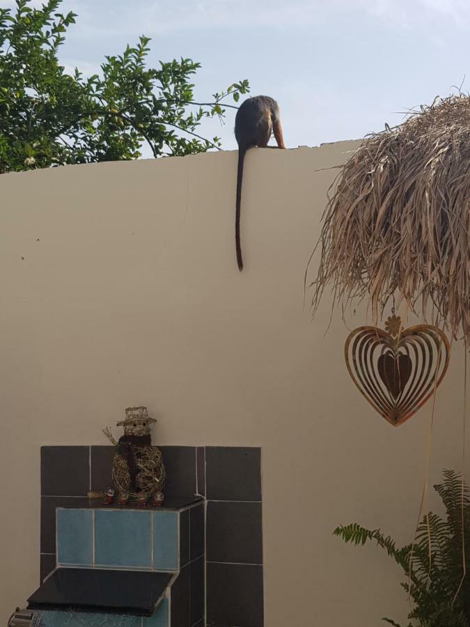 Mandinka Lodge Kololi Εξωτερικό φωτογραφία